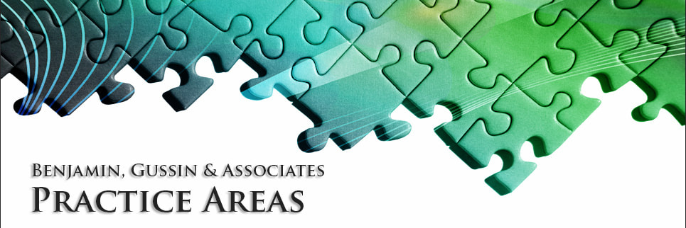 Practice Areas | Benjamin, Gussin & Associates